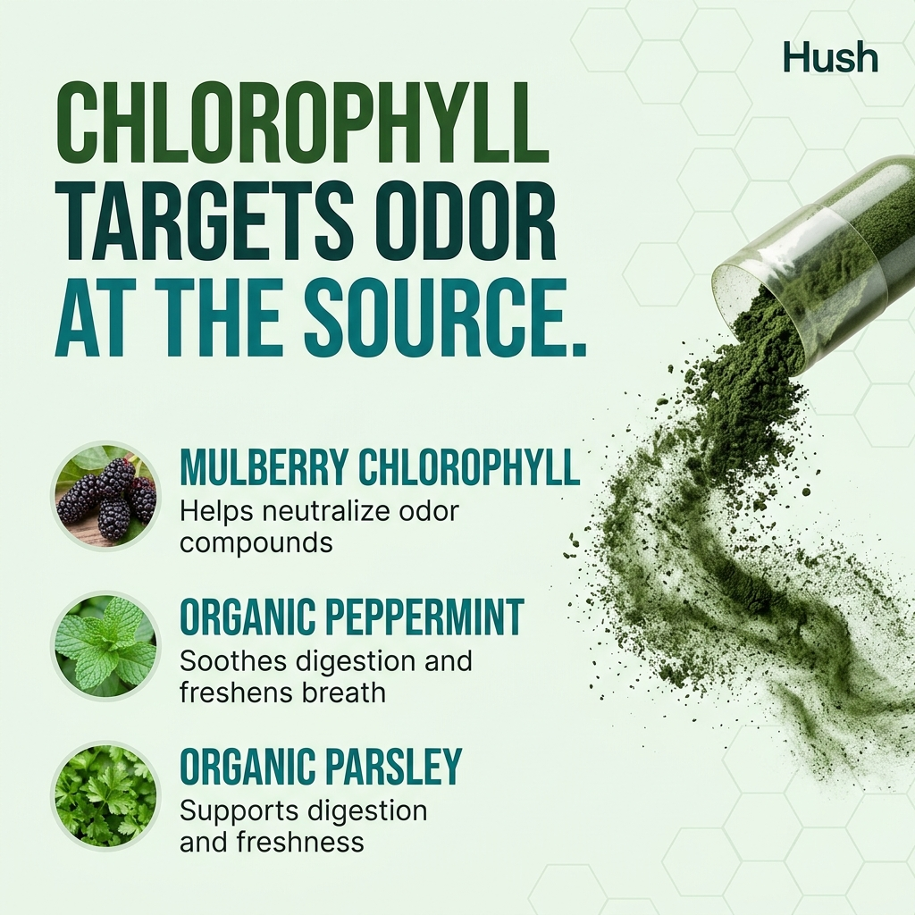 hush internal body deodorant capsules with chlorophyll