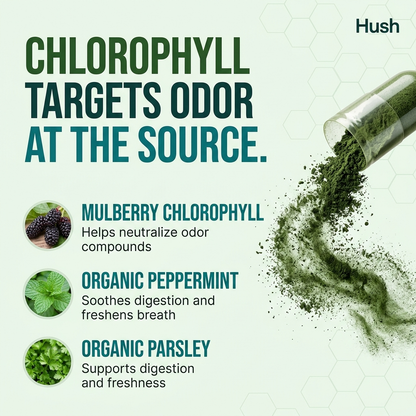 hush internal body deodorant capsules with chlorophyll